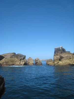 IMG_0075 (07-06-2013 06:27)