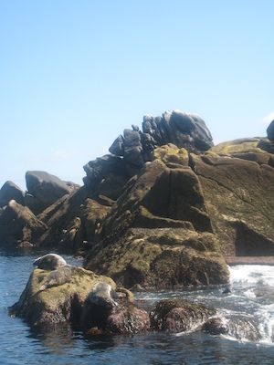 IMG_0077 (07-06-2013 06:29)