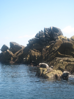 IMG_0078 (07-06-2013 06:29)