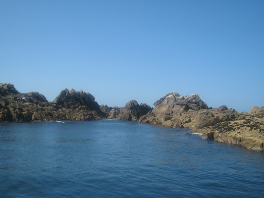 IMG_0079 (07-06-2013 06:36)