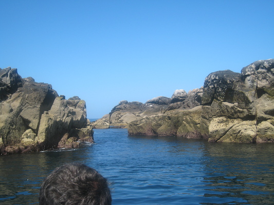 IMG_0081 (07-06-2013 06:38)