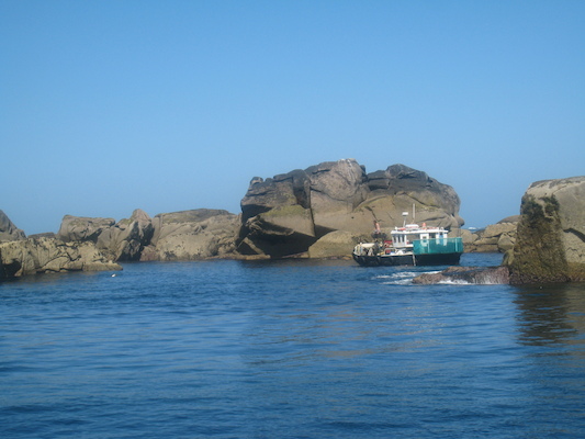 IMG_0082 (07-06-2013 06:39)