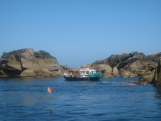 IMG_0083 (07-06-2013 06:39)