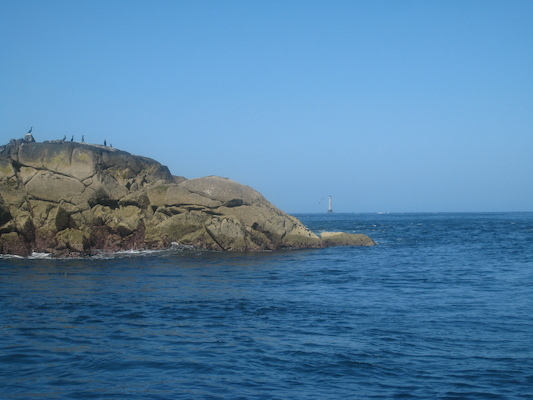 IMG_0085 (07-06-2013 06:39)