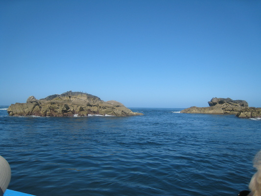 IMG_0086 (07-06-2013 06:40)