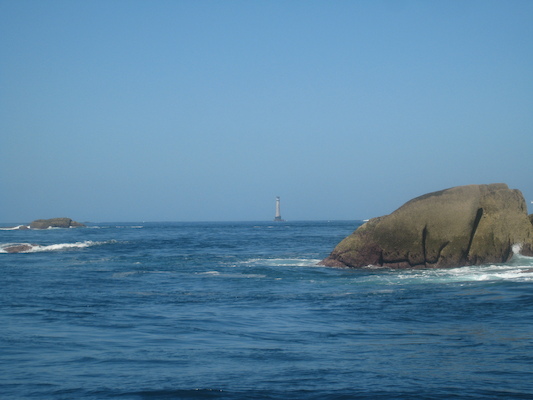 IMG_0088 (07-06-2013 06:40)