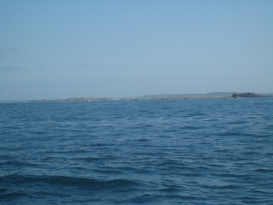 IMG_0089 (07-06-2013 06:50)