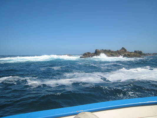 IMG_0101 (07-06-2013 07:18)