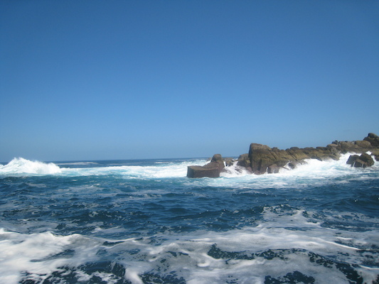 IMG_0102 (07-06-2013 07:18)