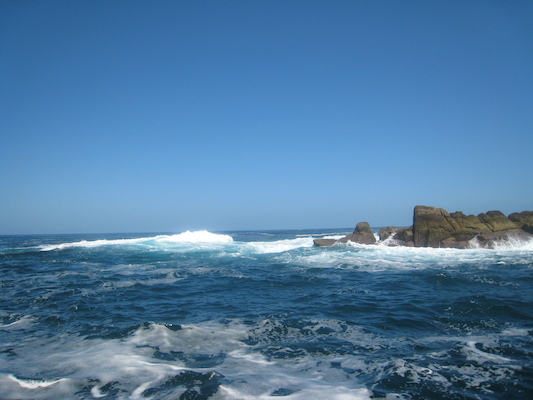 IMG_0103 (07-06-2013 07:18)