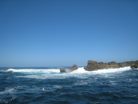 IMG_0104 (07-06-2013 07:18)