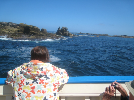 IMG_0107 (07-06-2013 07:19)