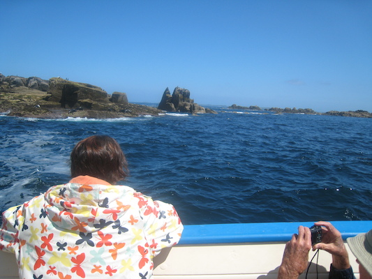 IMG_0108 (07-06-2013 07:19)