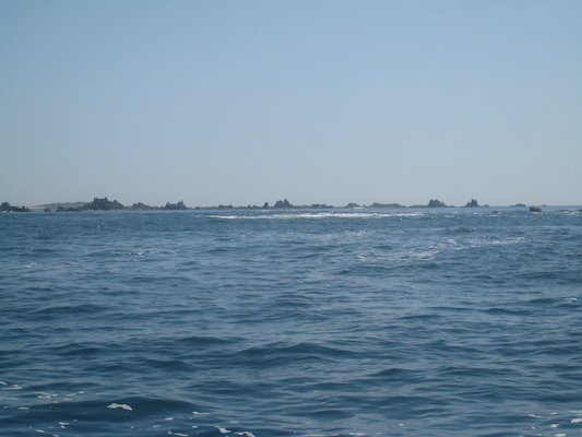 IMG_0109 (07-06-2013 07:30)