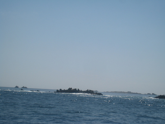 IMG_0110 (07-06-2013 07:31)