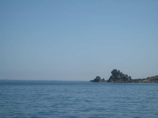 IMG_0112 (07-06-2013 07:44)