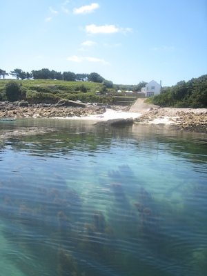 IMG_0113 (07-06-2013 07:47)