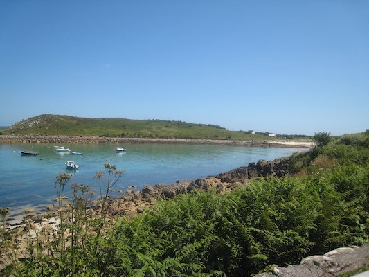 IMG_0118 (07-06-2013 08:03)