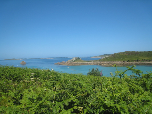 IMG_0121 (07-06-2013 08:31)