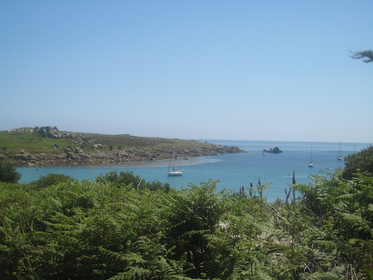 IMG_0122 (07-06-2013 08:31)