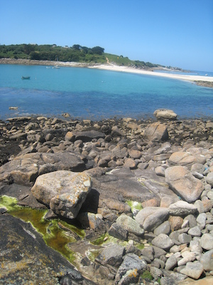 IMG_0125 (07-06-2013 08:44)