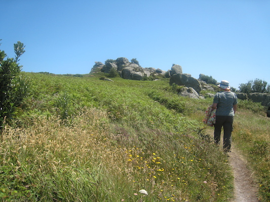 IMG_0135 (07-06-2013 08:48)