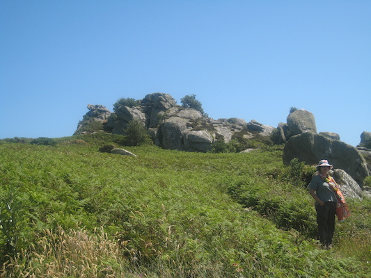 IMG_0136 (07-06-2013 08:48)