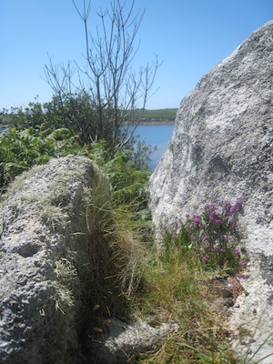 IMG_0137 (07-06-2013 08:49)