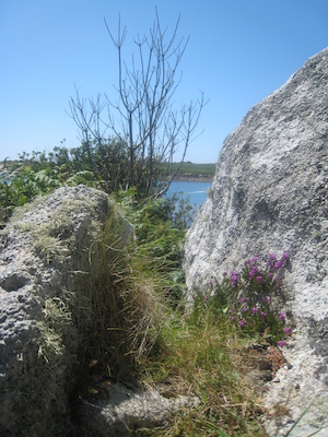 IMG_0138 (07-06-2013 08:49)