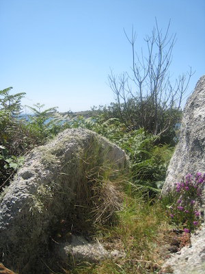 IMG_0139 (07-06-2013 08:49)