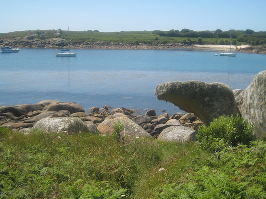 IMG_0140 (07-06-2013 08:50)