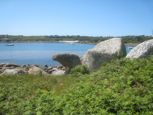 IMG_0141 (07-06-2013 08:50)