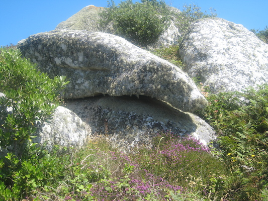 IMG_0142 (07-06-2013 08:51)