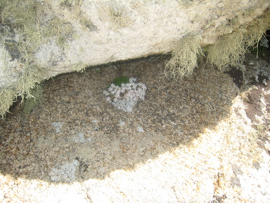 IMG_0143 (07-06-2013 08:52)