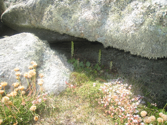 IMG_0148 (07-06-2013 09:08)