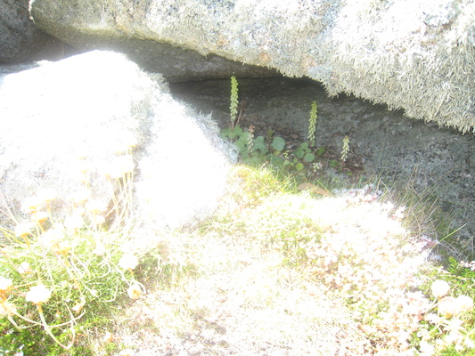 IMG_0150 (07-06-2013 09:08)