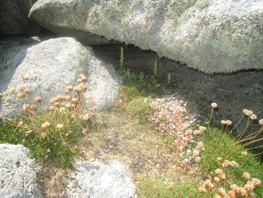 IMG_0151 (07-06-2013 09:09)