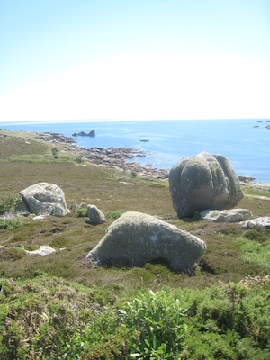 IMG_0153 (07-06-2013 09:11)