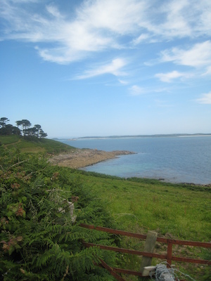 IMG_0163 (07-07-2013 07:33)