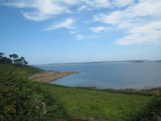 IMG_0164 (07-07-2013 07:33)