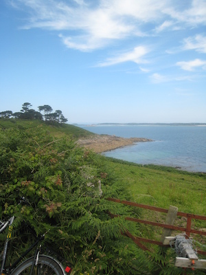 IMG_0168 (07-07-2013 07:34)