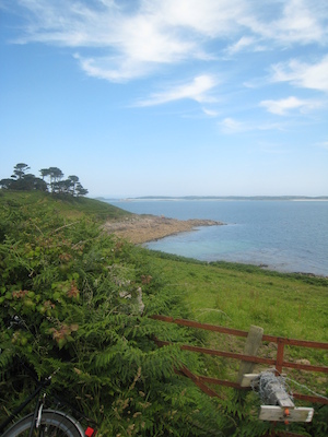 IMG_0169 (07-07-2013 07:34)