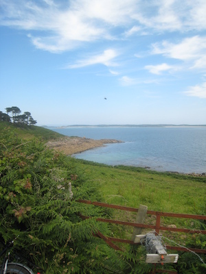 IMG_0170 (07-07-2013 07:34)