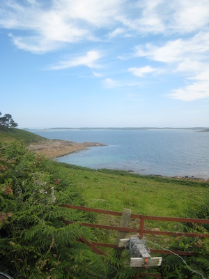 IMG_0171 (07-07-2013 07:34)