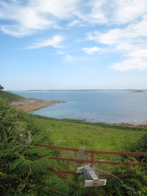 IMG_0172 (07-07-2013 07:34)