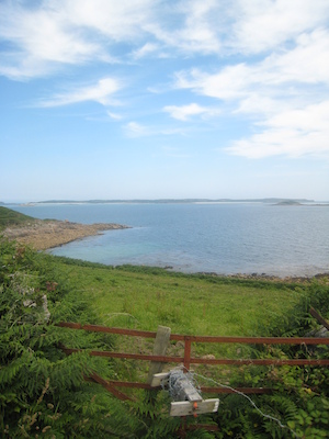 IMG_0173 (07-07-2013 07:34)