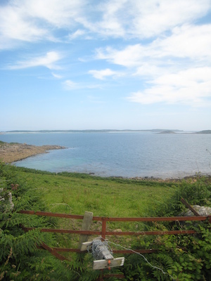 IMG_0174 (07-07-2013 07:34)