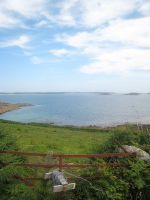 IMG_0175 (07-07-2013 07:34)