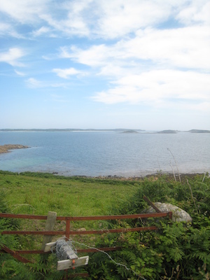 IMG_0176 (07-07-2013 07:34)