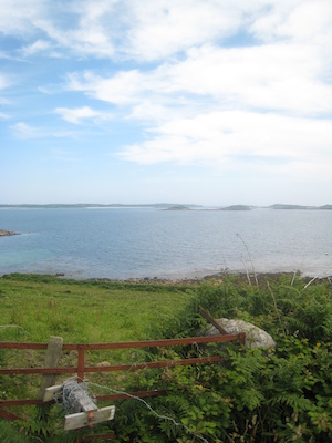 IMG_0177 (07-07-2013 07:34)